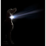 V3H93AFADD3BDADE82E7A9467DEB7FA5D10R5554908P2