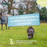 V3H8CD513E4CAE7D3BBF0BDEA9D8CA4D2F8R5717606P3