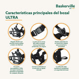 V4H5CBE8007A8243DA40B2D7D058EF3A0C9R5327510P2
